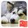 丁英豪's avatar